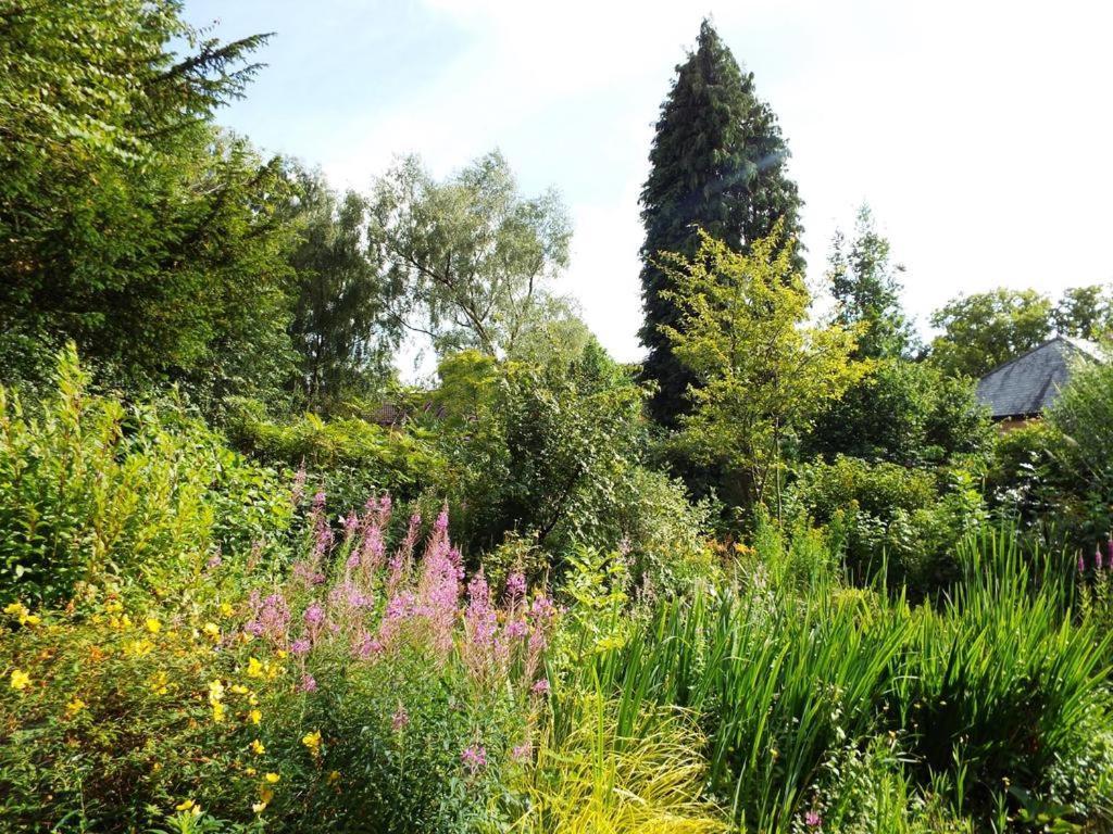 Bed & Breakfast Old Vicarage Coleford (Gloucestershire)